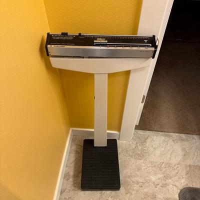 Scale