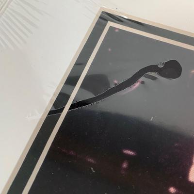 LOT 265 B: NIP Sealed Walt Disney Photo Prints w/ Signature Plaques