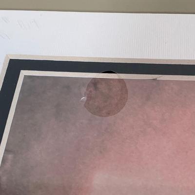 LOT 265 B: NIP Sealed Walt Disney Photo Prints w/ Signature Plaques