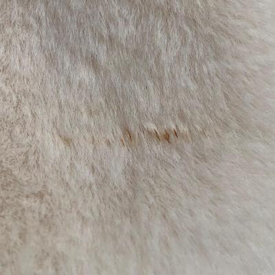 LOT 267 A: Disney White Mickey Mouse Embroidered Faux Fur Size 1 X-Large Coat