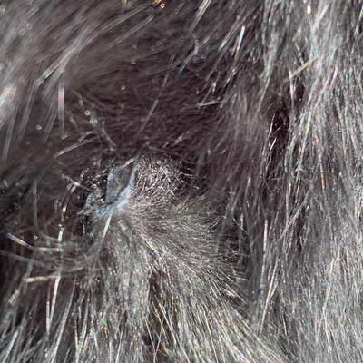 LOT 273 A: Black Rivet Size Large Rabbit Fur Zip-Up Jacket & Knoles & Carter Size Large Black Fur Hooded Coat