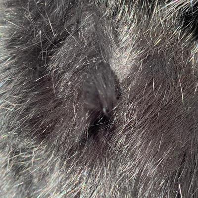 LOT 273 A: Black Rivet Size Large Rabbit Fur Zip-Up Jacket & Knoles & Carter Size Large Black Fur Hooded Coat