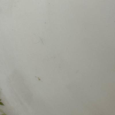 Lot of Various Bavaria Tirschenreuth China Plates