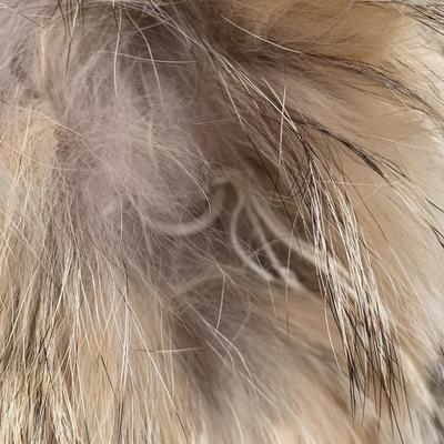 LOT 274 A: Vintage Long Trench Style Genuine Fur Coat & Jacket