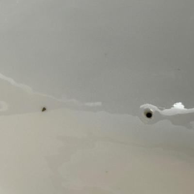 Vienna Austria The Munich China & Semi Vitreous Porcelain Gravy Boat