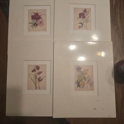 Matted prints
