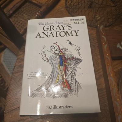 Grays anatomy