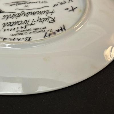 Lot of Floral Plates by Various Makers