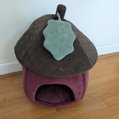 A Tiny House Resort For Your Pet