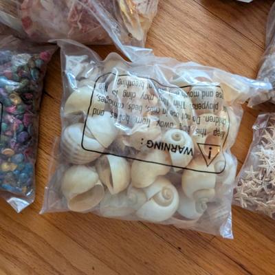 New In The Bag Seashells & Colored Sand