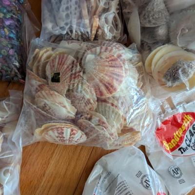 New In The Bag Seashells & Colored Sand