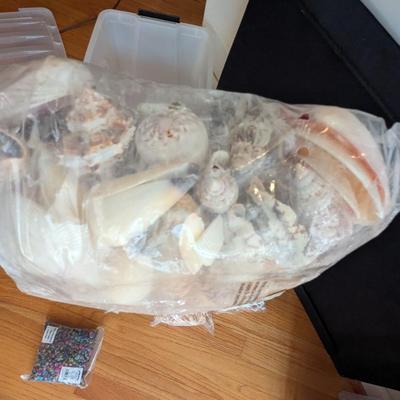 New In The Bag Seashells & Colored Sand