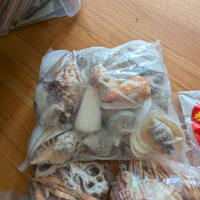 New In The Bag Seashells & Colored Sand