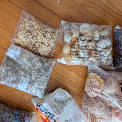 New In The Bag Seashells & Colored Sand