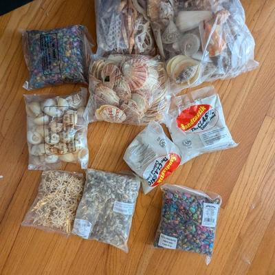 New In The Bag Seashells & Colored Sand