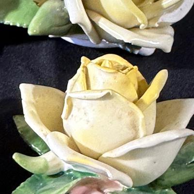 Kandarbeit Germany, Volkstedt Porcelain Roses