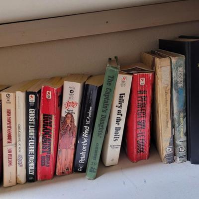 Lot of books and kids books