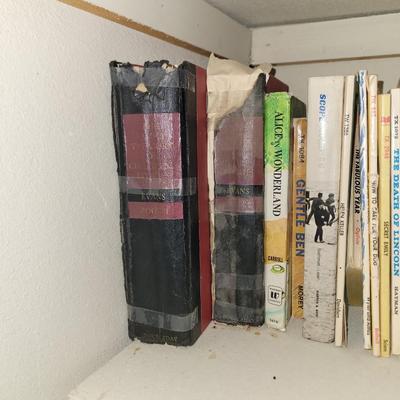 Lot of books and kids books
