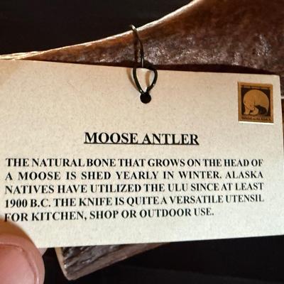Small native basket & Moose Antler skinning Knife in stand