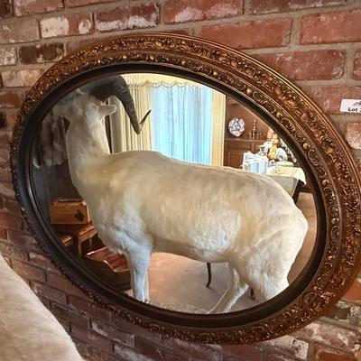Large oval gold edged Wall Mirror - 46”l x 36”t
