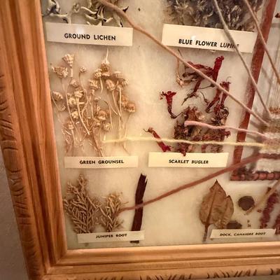 Framed collection of Native American thread to origin