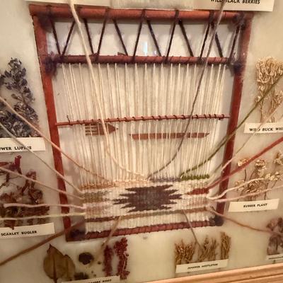 Sale Photo Thumbnail #1105: Seeds to fabric framed under glass origins of native american color