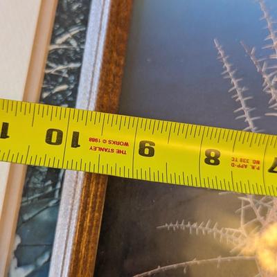 Assortment Of Home Wall Decor