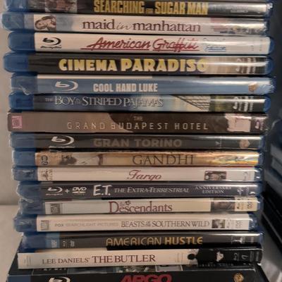 Collection of DVD’s Inc. Pan’s Labyrinth, Moonrise Kingdom, Fargo, & More (B3-DZ)