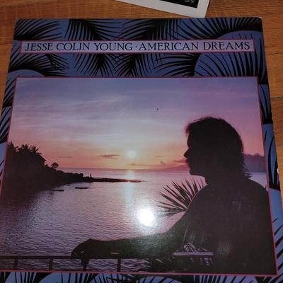 Lot of 4 Jesse Collins Young vinyl records