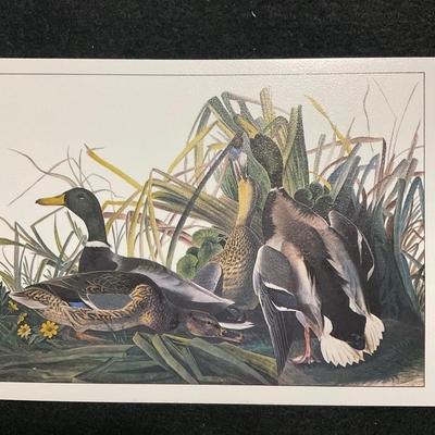 John James Audubon