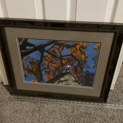 Framed Picture