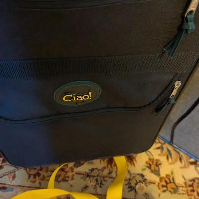Luggage Set