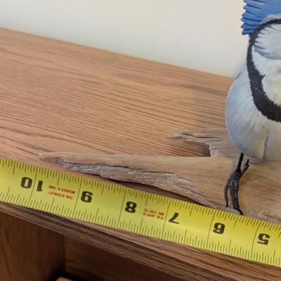 Vintage #4/100 Lester Braddock Blue Jay Bird Sculpture Figurine Signed