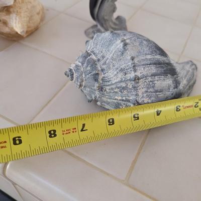 Conch Shells & Bottlenose Dolphin Figure