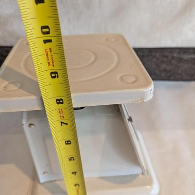 American Family Scale
