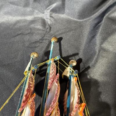 The beach lovers sea shell collection