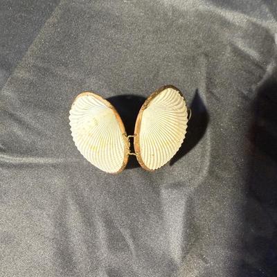 The beach lovers sea shell collection