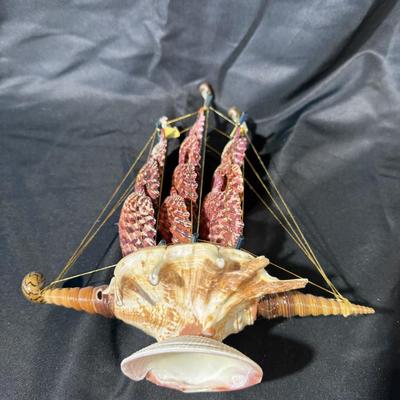 The beach lovers sea shell collection