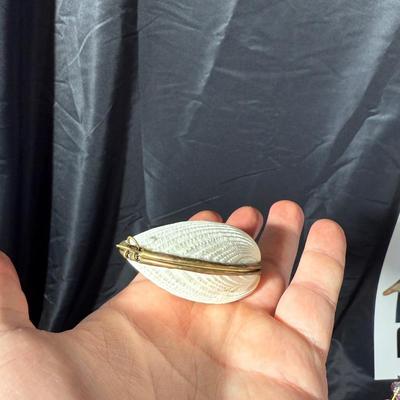 The beach lovers sea shell collection