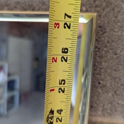 Vintage Frosted Bird Mirror Approx 22" x 27"