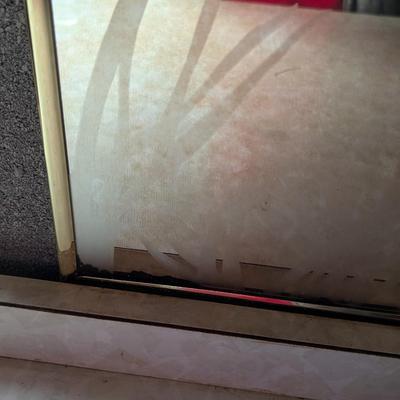 Vintage Frosted Bird Mirror Approx 22" x 27"