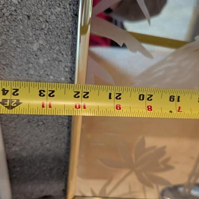 Vintage Frosted Bird Mirror Approx 22" x 27"