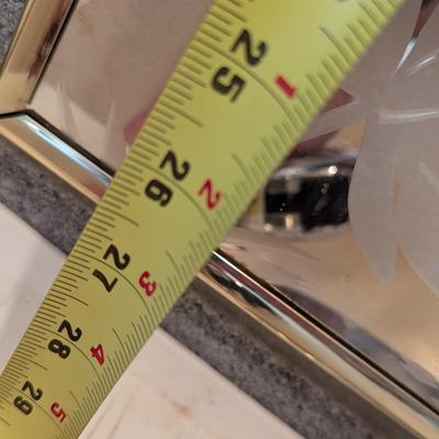 Vintage Frosted Bird Mirror Approx 22" x 27"