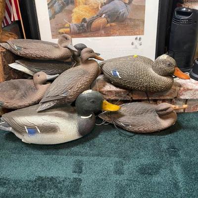 Ducks 