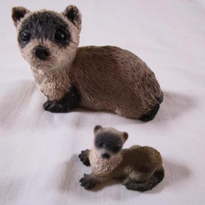 2 black-footed ferrets