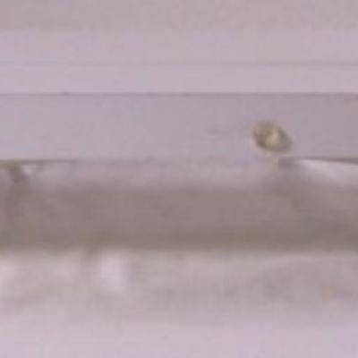 White floating shelf