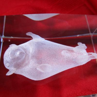 Vintage etched buffalo crystal paperweight