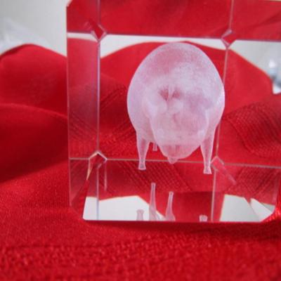Vintage etched buffalo crystal paperweight