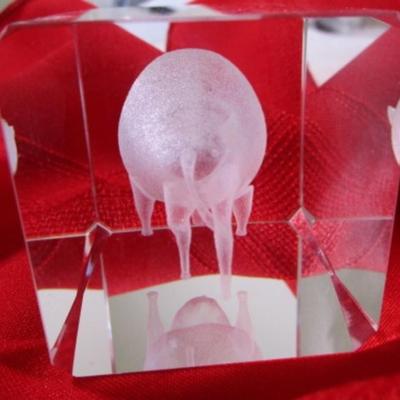 Vintage etched buffalo crystal paperweight