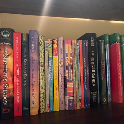 Diary of a Wimpy Kid and more book lot